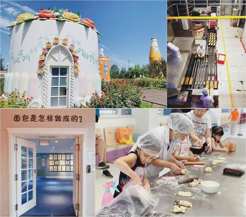 文旅融合新花樣 食品工廠參觀與沉浸體驗引領旅游文化發展